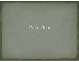 Презентация к уроку английского языка "Polar Bear" - 