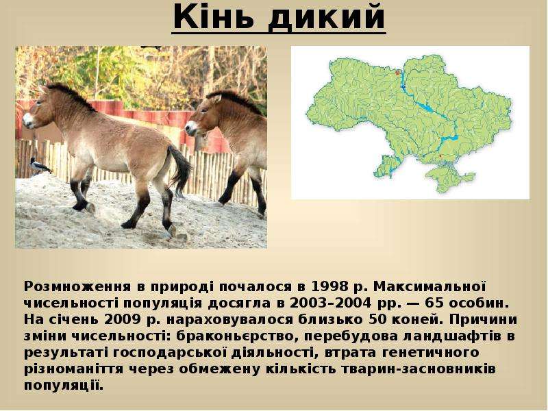 Презентація червона книга україни тварини скачать