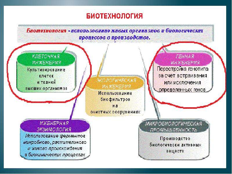 Генная Инженерия В Медицине Презентация