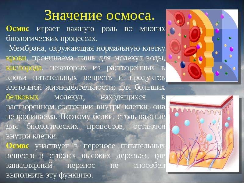 http://mypresentation.ru/documents/a9a03552eda8a3f7912d9f02ff35e42d/img13.jpg