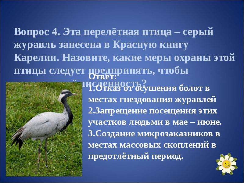 Птицы Дагестана Занесенные В Красную Книгу