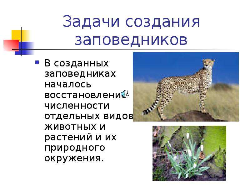 Презентация На Тему Национальные Парки России 4 Класс Окружающий Мир