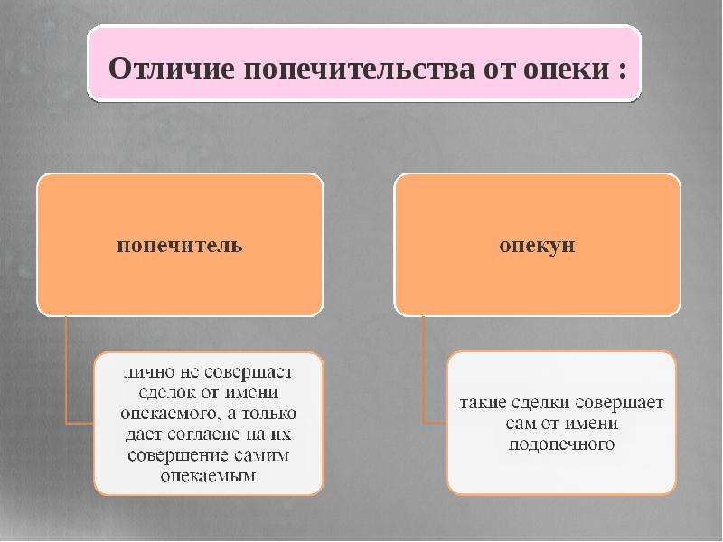 Основные функции органов опеки и попечительства