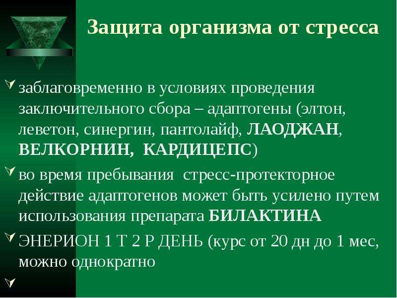 Адаптогены Сахалина И Курильских Островов Интернет Магазин