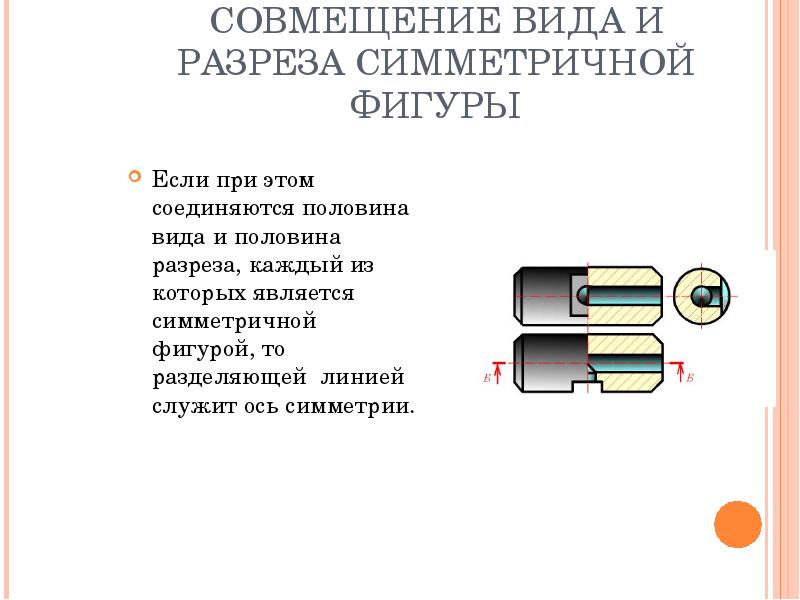 Секс Вид В Разрезе