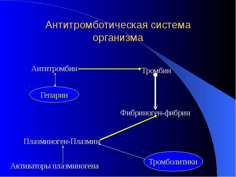   Антитромботическая система организма
