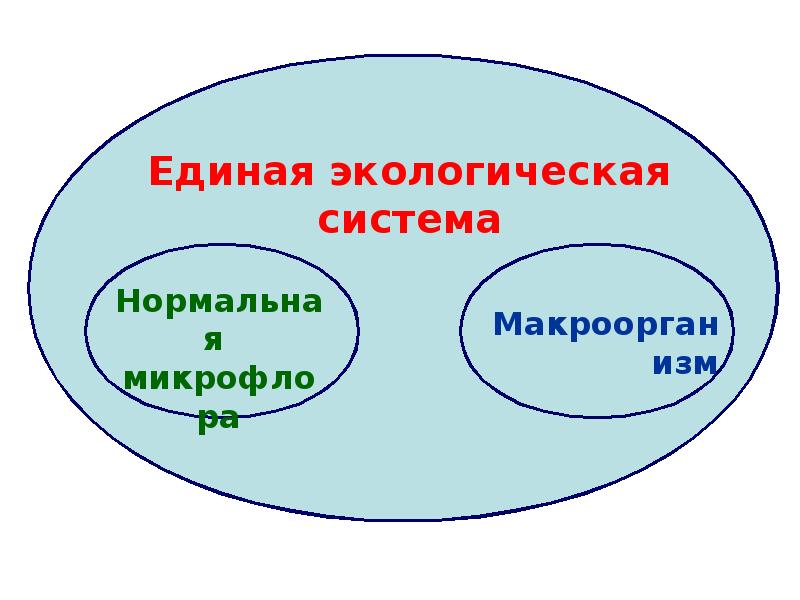 Микрофлора тела человека, слайд №3