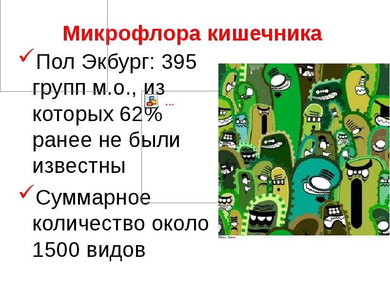   Микрофлора кишечника 
Пол Экбург: 395 групп м.о., из которых 62% ранее не были известны 
Суммарное количество около 1500 видов
