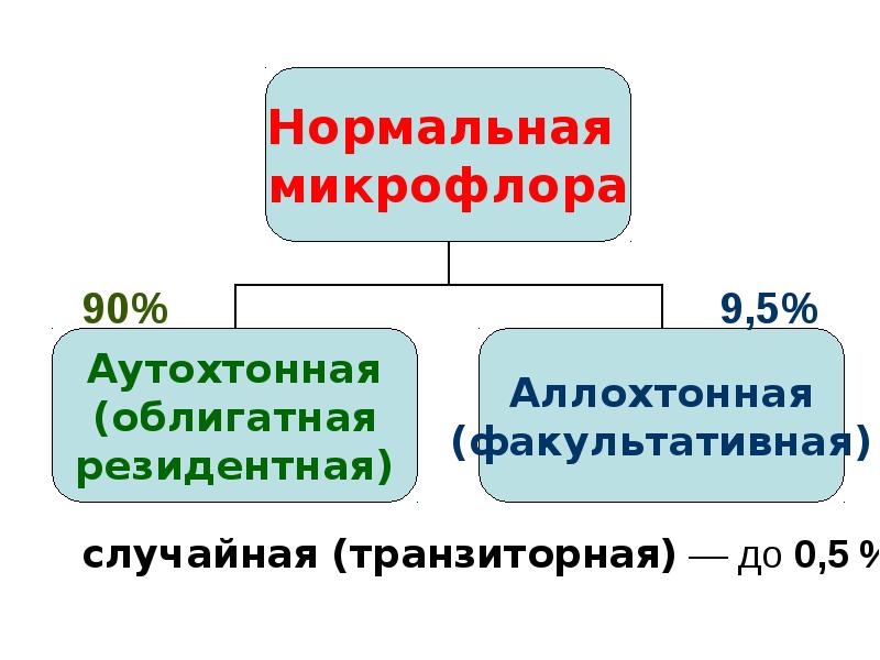 Микрофлора тела человека, слайд №4