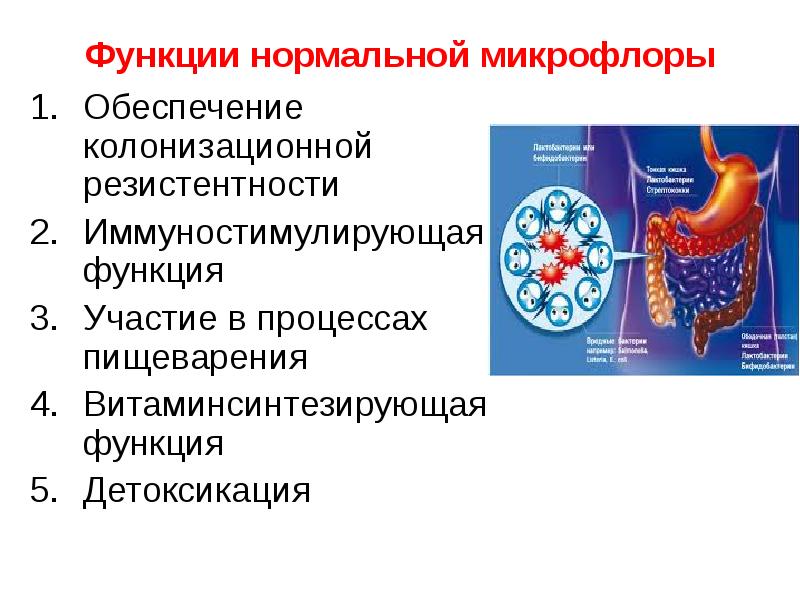   Функции нормальной микрофлоры
Обеспечение колонизационной резистентности
Иммуностимулирующая функция
Участие в процессах пищеварения
Витаминсинтезирующая функция
Детоксикация
