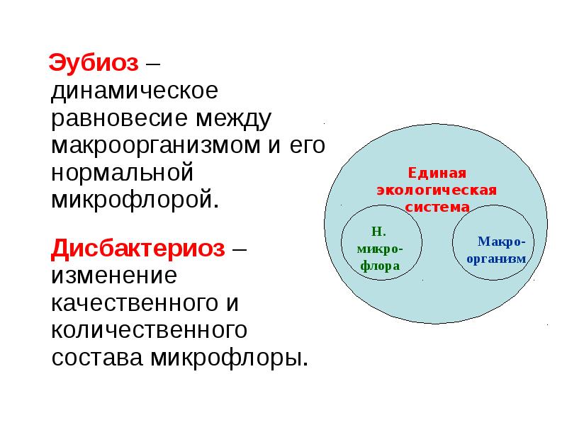   Эубиоз – динамическое равновесие между макроорганизмом и его нормальной микрофлорой.
 Эубиоз – динамическое равновесие между макроорганизмом и его нормальной микрофлорой.
 Дисбактериоз – изменение качественного и количественного состава микрофлоры.
