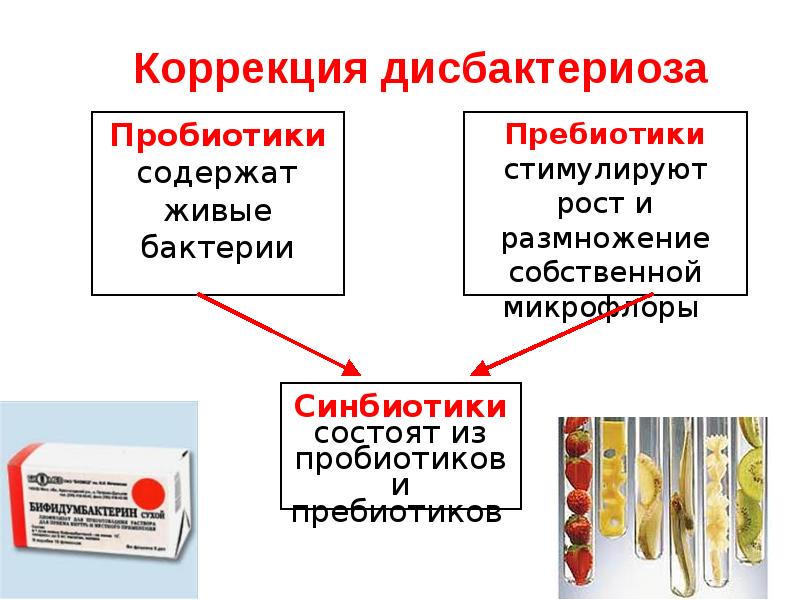   Коррекция дисбактериоза 
