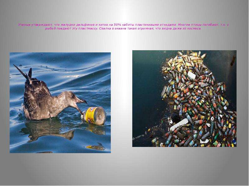   Ученые утверждают, что желудки дельфинов и китов на 50% набиты пластиковыми отходами. Многие птицы погибают, т.к. с рыбой поедают эту пластмассу. Свалка в океане такая огромная, что видна даже из космоса.  