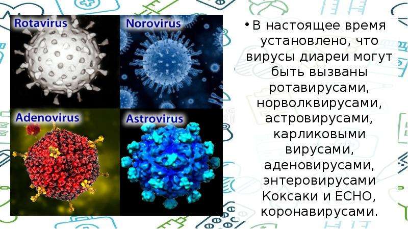   В настоящее время установлено, что вирусы диареи могут быть вызваны ротавирусами, норволквирусами, астровирусами, карликовыми вирусами, аденовирусами, энтеровирусами Коксаки и ECHO, коронавирусами.
В настоящее время установлено, что вирусы диареи могут быть вызваны ротавирусами, норволквирусами, астровирусами, карликовыми вирусами, аденовирусами, энтеровирусами Коксаки и ECHO, коронавирусами.
