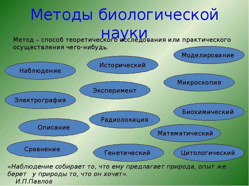 Какие науки изучают живые. Методы изучения животных 7 класс биология. Методы биологических наук. Методы науки биологии. Методы исследования в биологии.