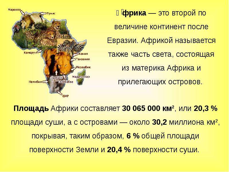 Проект про материк африка