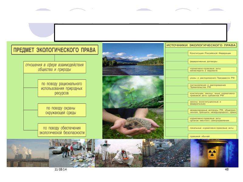 Презентация ПРАВОВЕДЕНИЕ  Дисциплина общепрофессинального цикла для студентов экономического факультета, слайд №48