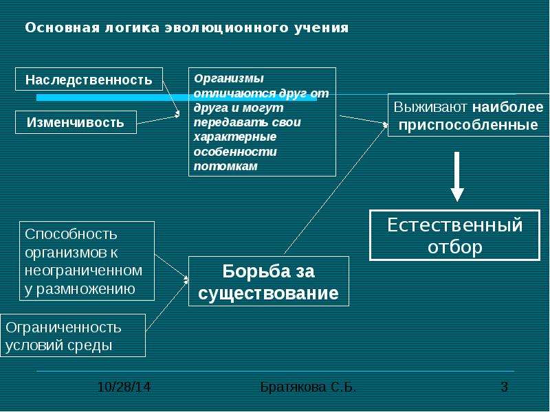 Из каких действий состоит процесс создания презентация