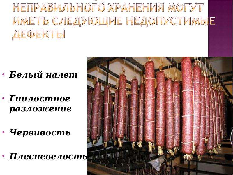 Презентация Экспертиза вареных колбасных изделий, слайд №16