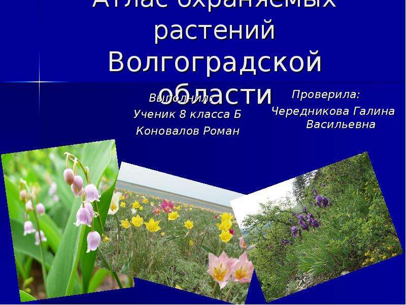 Волгоградская область книга. Охраняемые растения Волгоградской области. Растения охраняемые Волгоградом. Растения родного края. Растения Волгоградской области 4 класс.