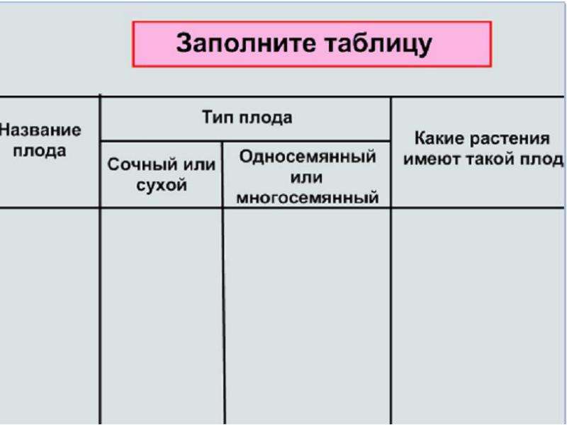 Проанализируйте таблицу типы плодов. Таблица название плода. Типы плодов таблица. Типы плода таблица. Заполните таблицу Тип плода.