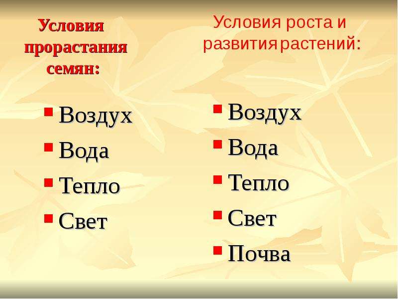 Условия роста и развития. Условия роста и развития растений. Условия роса и развития растения. Условия роста и развития растений 2 класс. Условия для роста растений 2 класс.