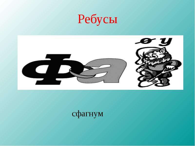 Ребусы по биологии. Ребусы на тему лишайники. Ребусы биология. Ребусы на тему биология. Ребус бактерии.