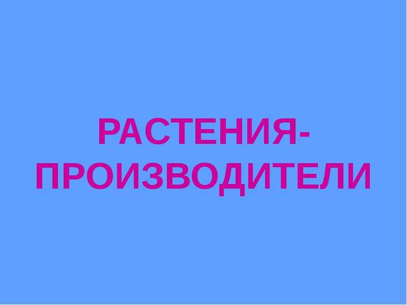 Растения производители