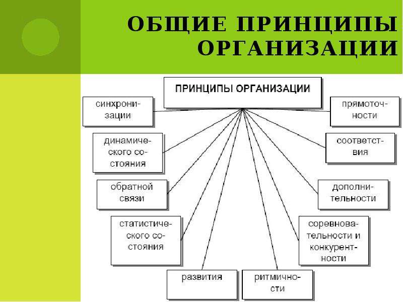 Презентация  Сущность принципов и их классификация, слайд №8