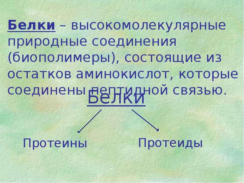 Презентация по химии по теме белки