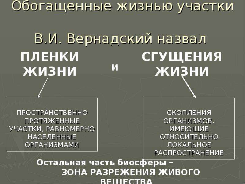 Распределение жизни. Пленки жизни по Вернадскому. Биосфера сгущения жизни. Сгущения жизни на суше. Что называл Вернадский пленкой жизни.