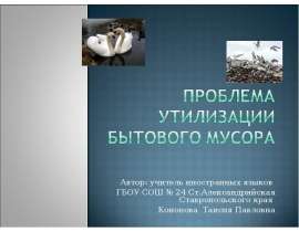 Автор: учитель иностранных языков ГБОУ СОШ № 24 Ст.Александрийская Ставропольского края Кононова Таисия Павловна