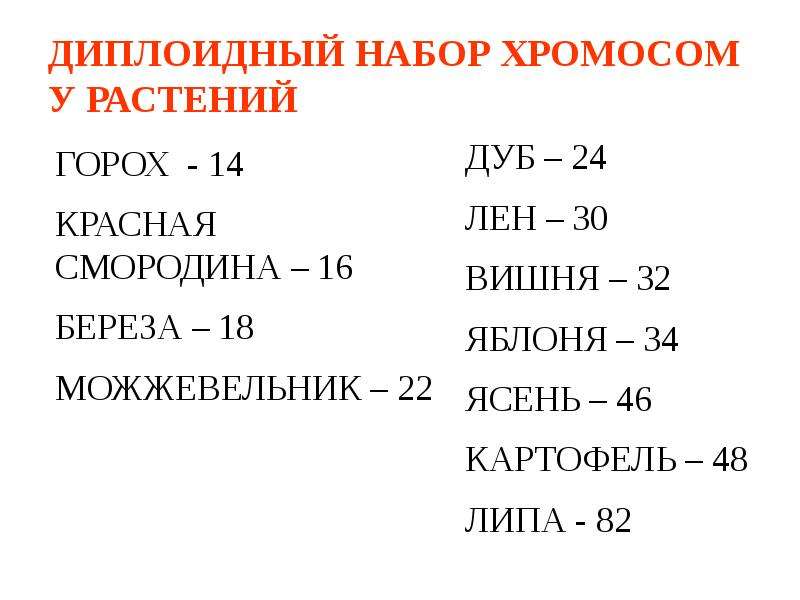 Диплоидный сколько хромосом. Диплоидные хромосомы набор хромосом. Диплоидный набор хромосом это набор. Диплоидный набор хромосом у растений. Диплоидный набор хромосом картофеля.