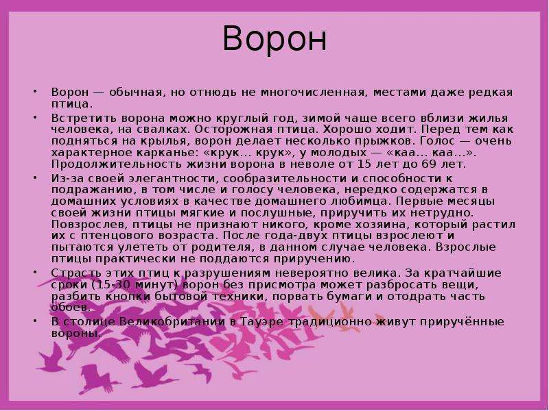 Сколько лет живут вороны. Продолжительность жизни вороны. Ворон срок жизни. Ворон обыкновенный Продолжительность жизни. Длительность жизни ворона.