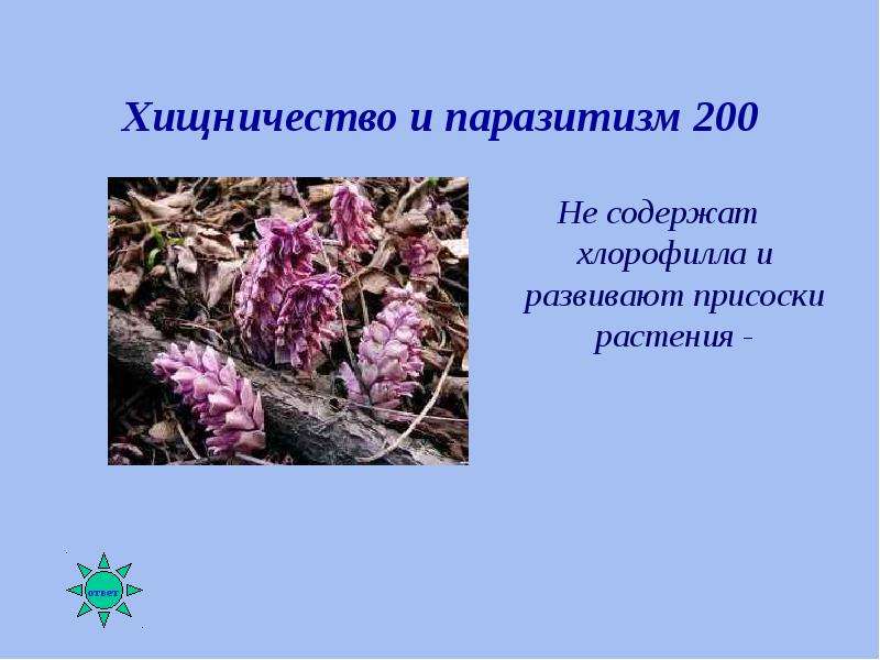 Презентация по биологии 9 класс биотические связи в природе пономарева