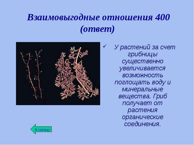 Взаимовыгодные отношения в природе. Взаимовыгодные отношения. Взаимовыгодные отношения в природе слайд. Взаимовыгодные отношения гриба и растений. Презентация насчет растений.