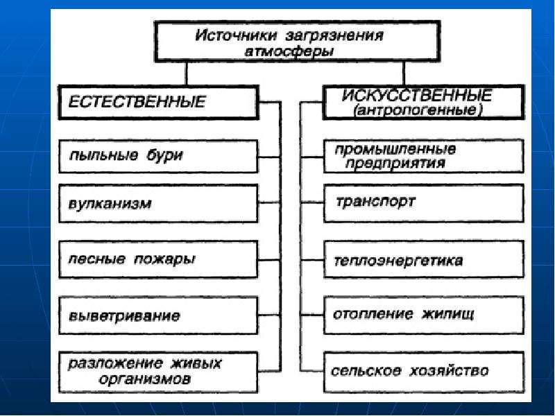 Влияние загрязнений на живые организмы проект