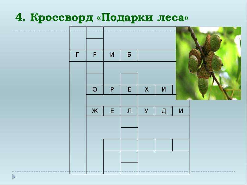 Кроссворд леса. Кроссворд про лес. Кроссворды о лесах. Кроссворд подарок. Кроссворд по лесу.