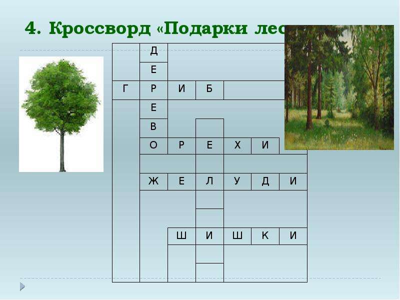 Кроссворд лес. Кроссворд про лес. Кроссворд про лес для детей. Детские кроссворды о лесе. Кроссворды о лесах.