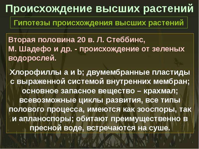 Высок происхождение. Происхождение высших растений кратко. Освоение суши растениями. Гипотеза о растениях. Гипотезы цветы.