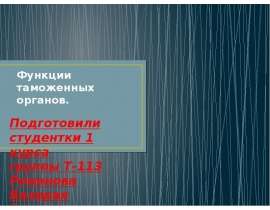 Функции таможенных органов. Подготовили студентки 1 курса группы Т-113 Романова Валерия Гудым(много любви) Алина