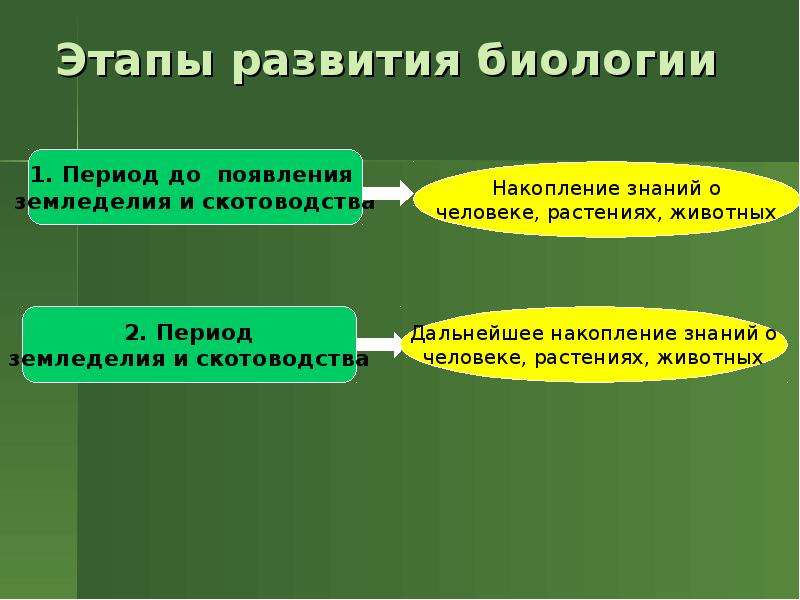 План история развития биологии