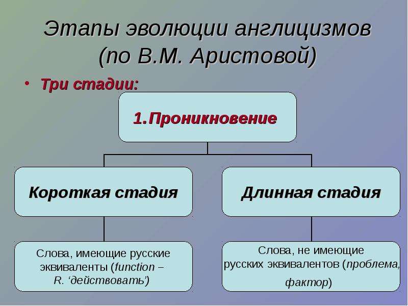 Три стадии. Этапы эволюции англицизмов. Этапы заимствования англицизмов. Этапы эволюции англицизмов в русском языке. Этапы заимствования слов в русском языке.