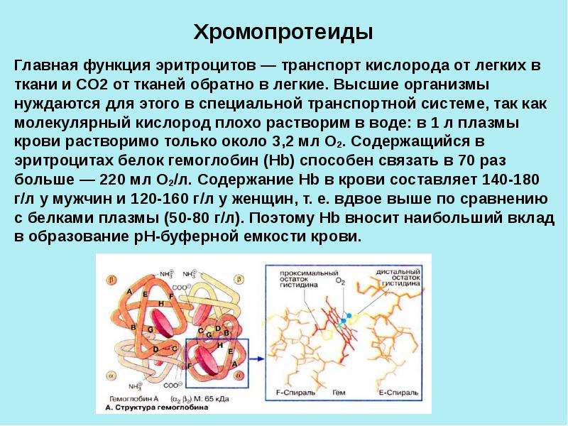 Биохимия памяти презентация