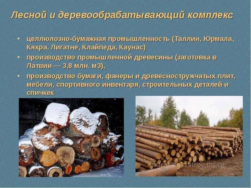 Целлюлозная и деревообрабатывающая промышленность