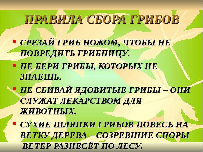 Соберу правило. Правила сбора грибов. Памятка правила сбора грибов. План сбора грибов. Перечислите правила сбора грибов.