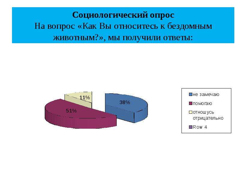 Анкетирование по проекту бездомные животные