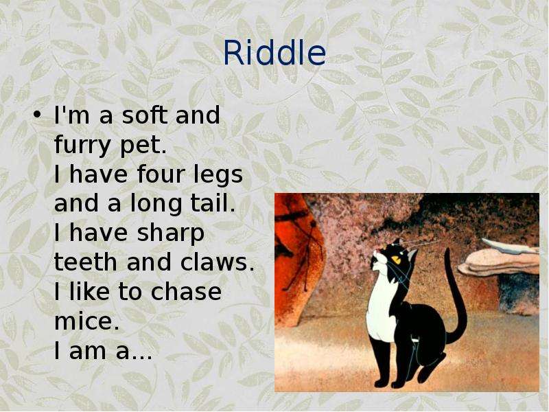 It has got four legs перевод. Have Mice got long Tails ответ. What Dog has no Tail ответ на загадку. This is my Pet fluffy. Подчеркнуть правильное слово a Dog got a long Tail.