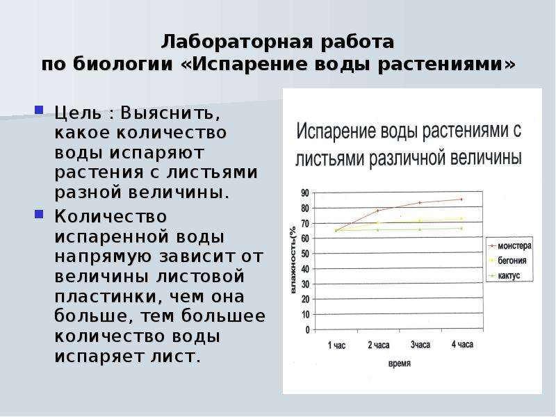 Лабораторная работа по биологии изучение. Лабораторная работа по биологии. Практическая работа по биологии. Лабораторная работа испарение. Листы для лабораторных работ.