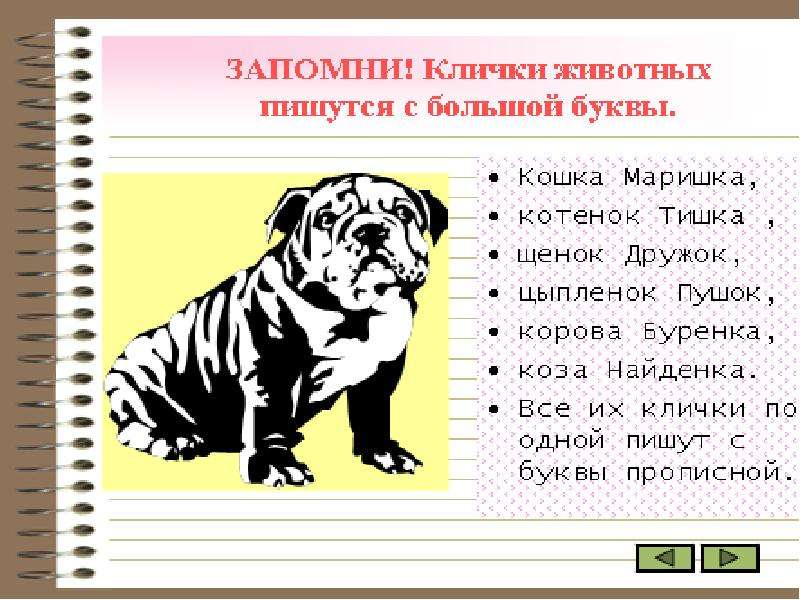 Заглавная буква в кличках животных 1 класс школа россии презентация